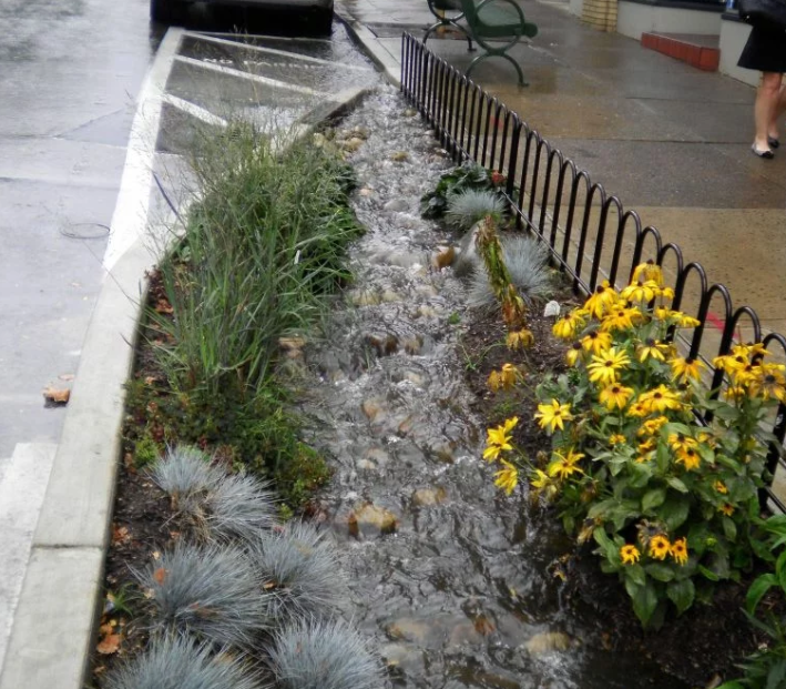 Jardines de lluvia