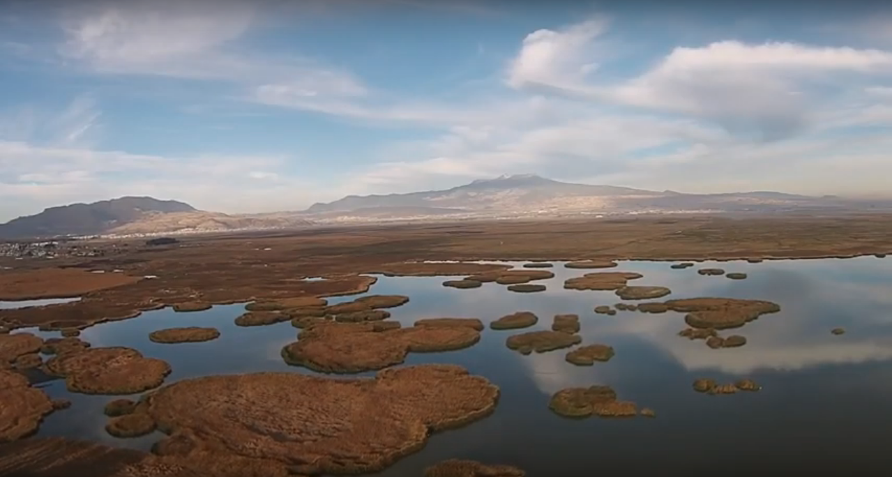 Las Ciénegas del Alto Lerma en peligro Las Ciénegas del Alto Lerma en peligro