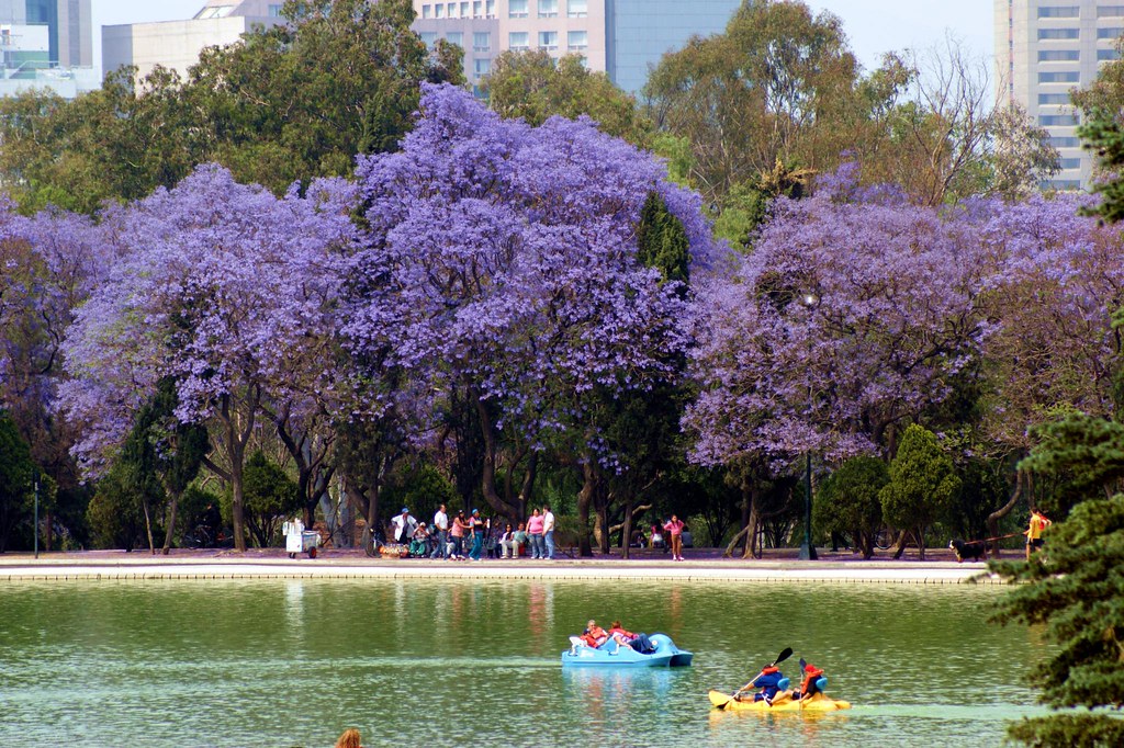 CDMX