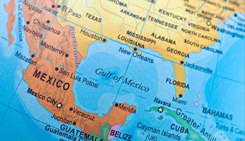 Bosque sumergido es descubierto en el Golfo de México