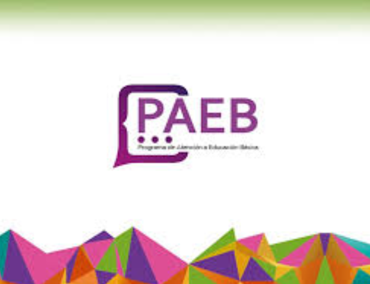 PAEB 2020