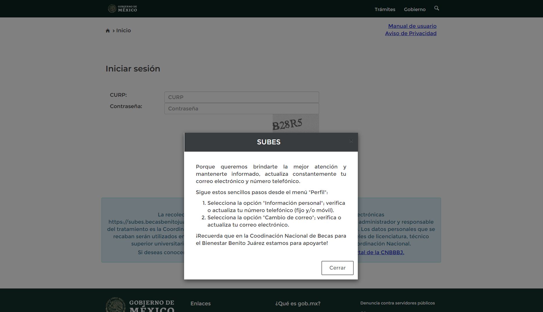 beca-jovenes-escribiendo-el-futuro-recomendaciones-para-registrarte-en-subes-y-no-saturar-la-plataforma5
