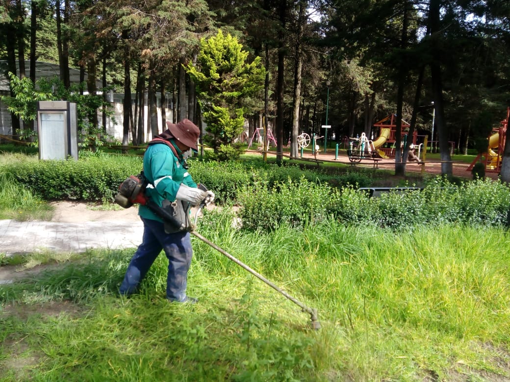 dan-mantenimiento-a-las-areas-verdes-y-parques-en-toluca2