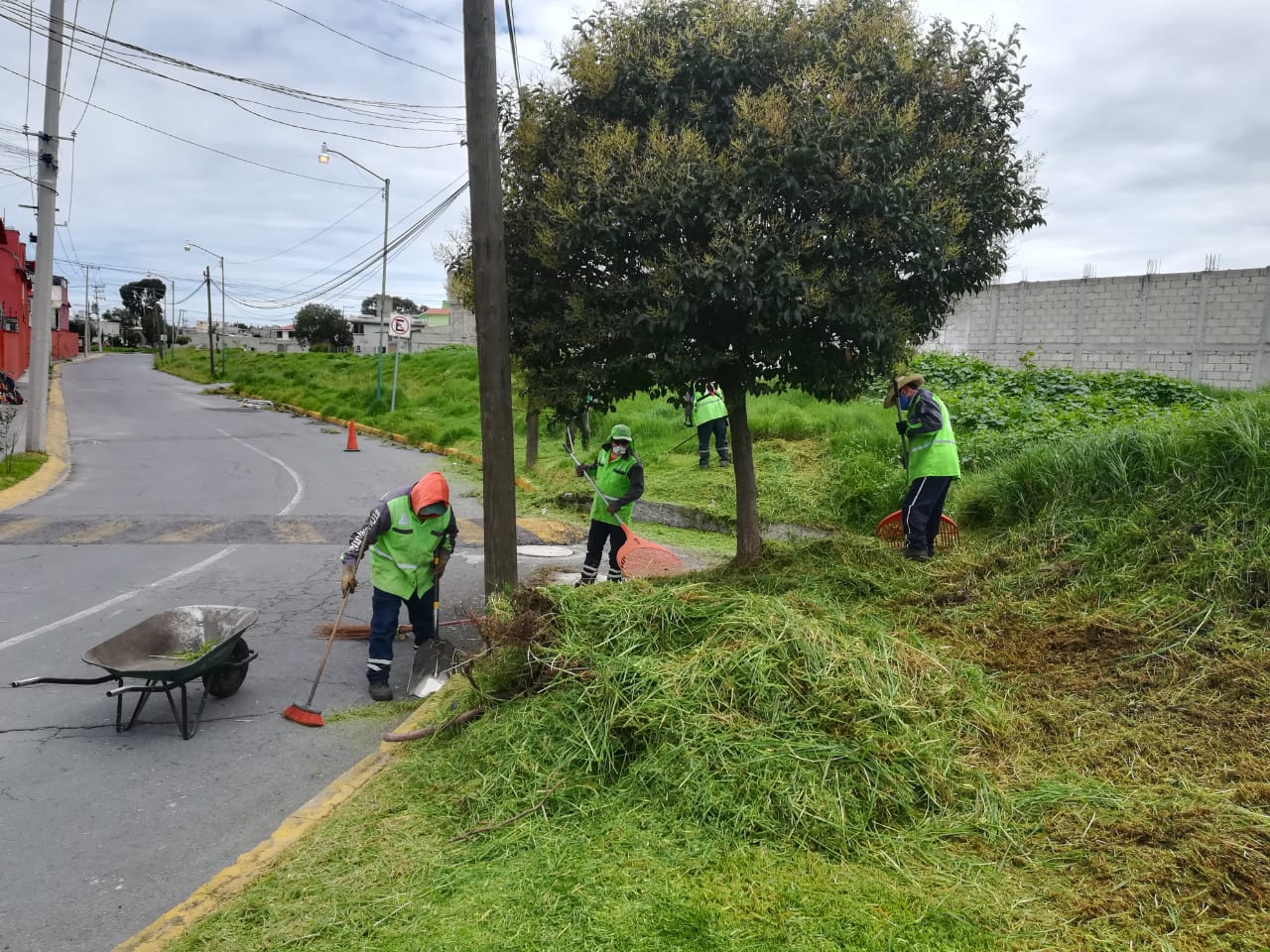dan-mantenimiento-a-las-areas-verdes-y-parques-en-toluca4