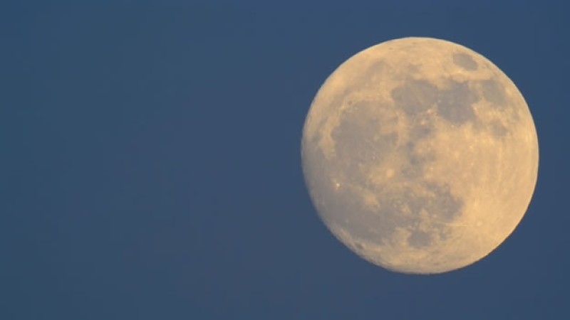 Luna de Gusanos