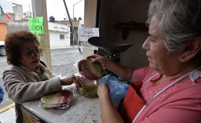 tortillas-tricolor-en-toluca-una-tradicion-que-empezo-hace-19-anos2