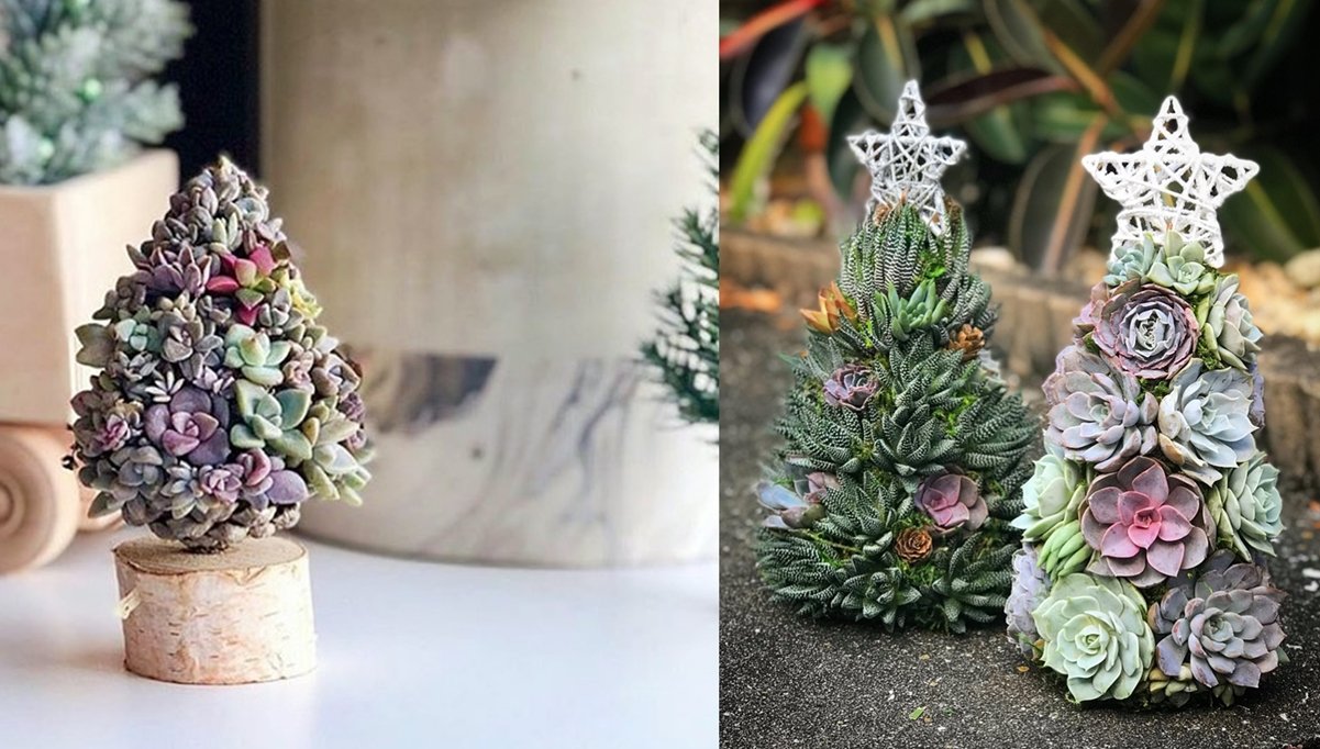 conoce-la-nueva-tendencia-de-arboles-de-navidad-con-suculentas2