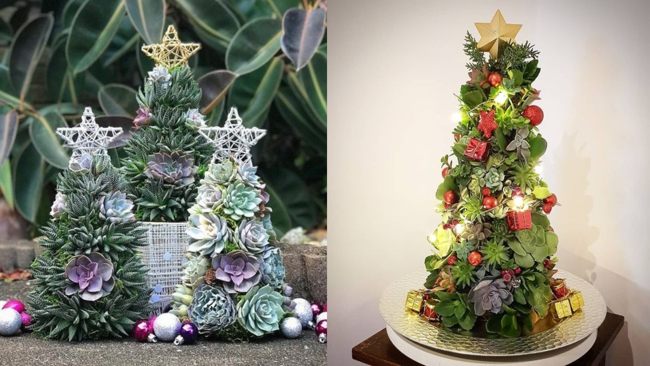 conoce-la-nueva-tendencia-de-arboles-de-navidad-con-suculentas7