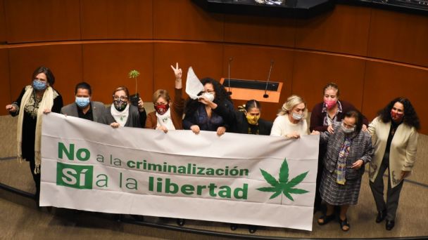 ¿Cuántos gramos de marihuana puedes traer contigo, de acuerdo con la nueva despenalización en México? Aquí te dejamos la información