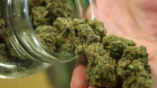 ¿Cuántos gramos de marihuana puedes traer contigo, de acuerdo con la nueva despenalización en México? Aquí te dejamos la información