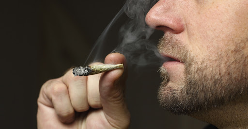 Conoce la empresa que ofrece sueldo de hasta 58 mil pesos mensuales por ser catador de marihuana