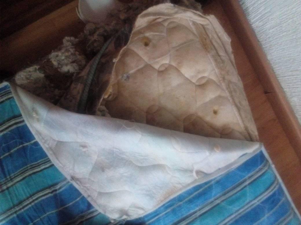 toluca-denuncian-tiendas-de-colchones-por-estafa2