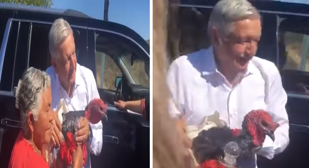 AMLO recibe guajolote y mezcal de regalo, ave es liberada