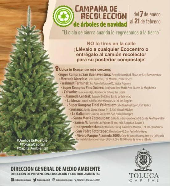 reciclaje-arbols-de-navidad-edomex
