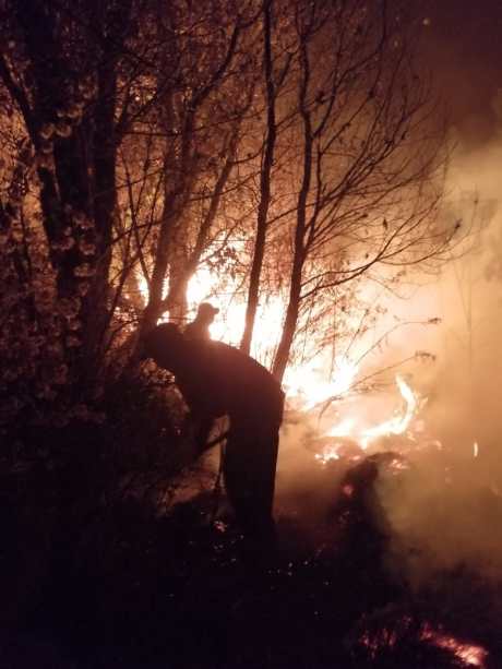 incendio Nevado de Toluca incendio-forestal-nevado-de-toluca