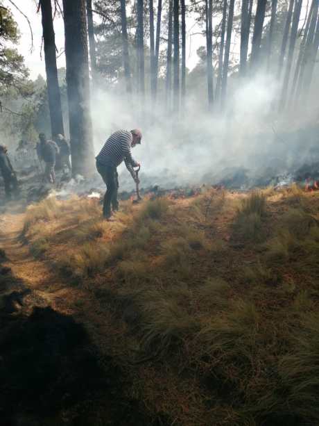 incendio-forestal-nevado-de-toluca