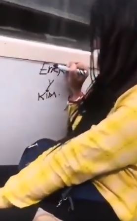 viral-mujer-escribe-nombres-en-vagon-del-metro-y-la-apodan-ladyrayones-2-160494