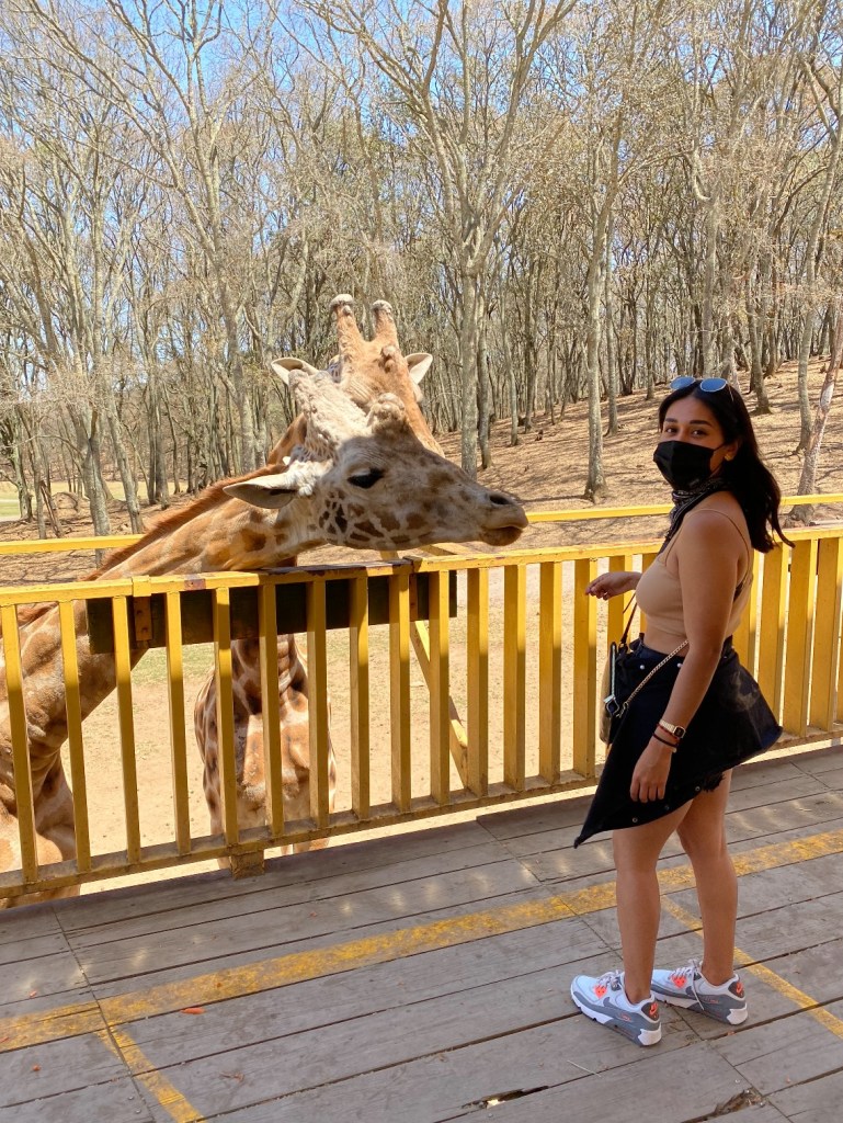 Bioparque Estrella invita a su rodada con causa y exhibición de motos