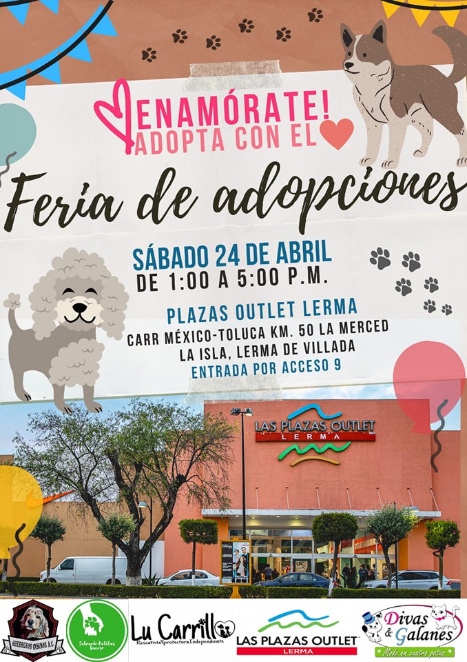 feria de adopción de mascotas en toluca, esta e la convocatoria donde indica el horario, el día y el lugar en donde se llevará a cabo