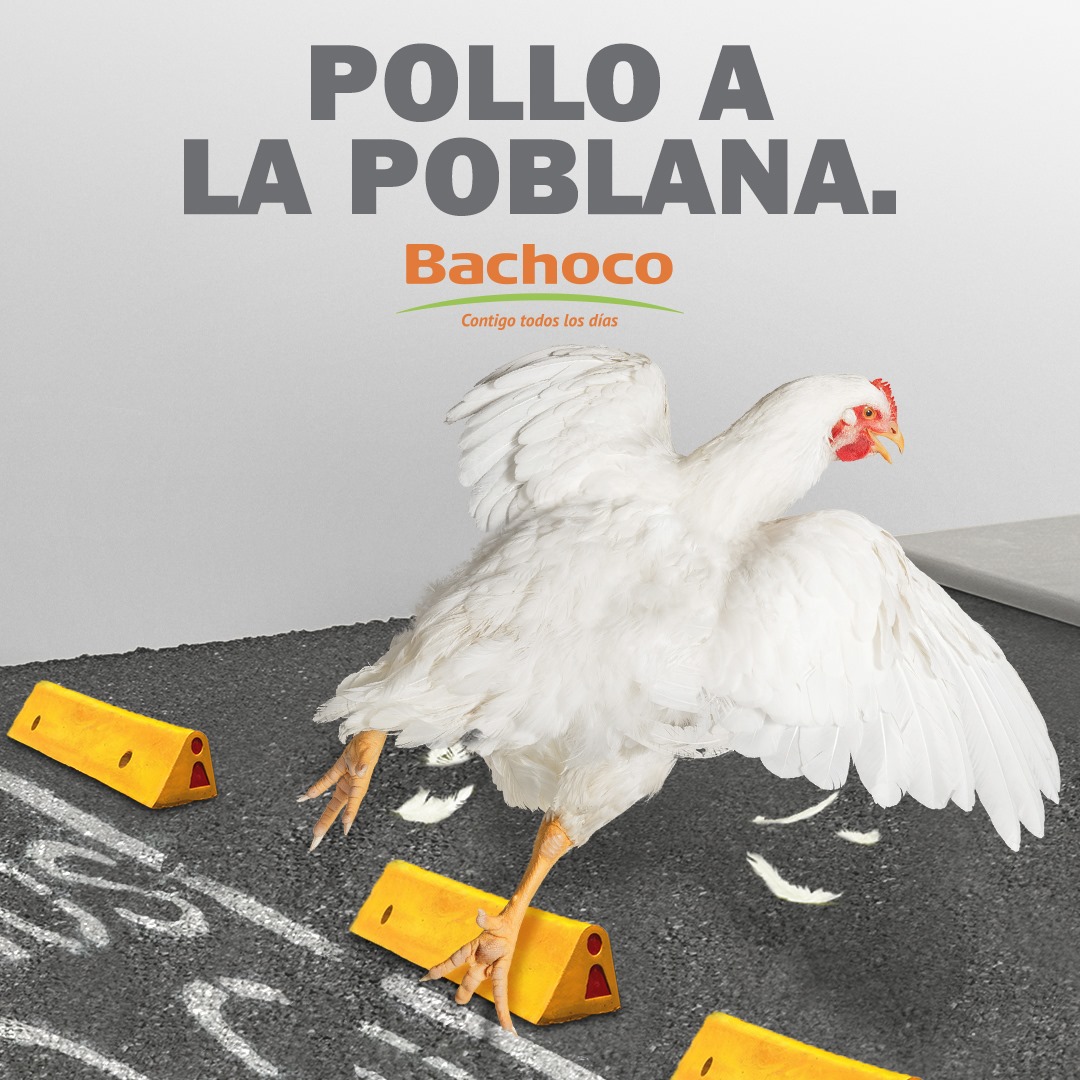Esgta ultima campaña hace alusión a el tema de la ciclovía