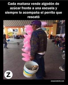 Esta imagen se hizo viral a través de Facebook, donde el sitio Zoorprendente compartió parte de la historia de este adulto mayor.
