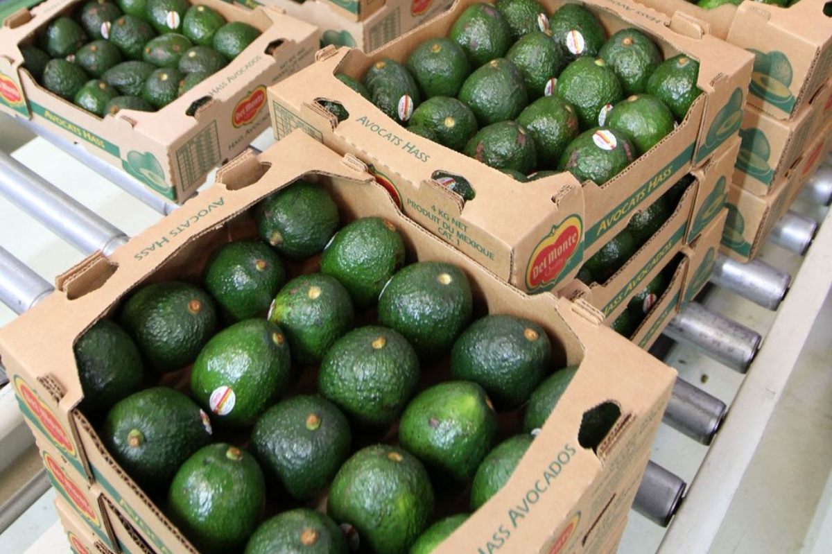 El aguacate es uno de los alimentos más vendidos en la cdmx