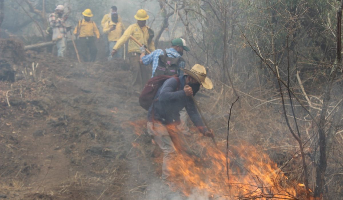 Varias brigadas trabajan para sofocar el fuego