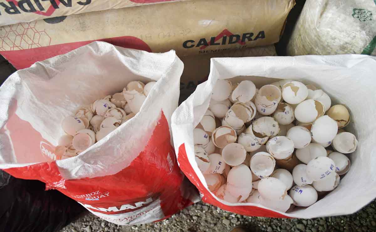 Edomex cascarones de huevo para limpiar el rio lerma
