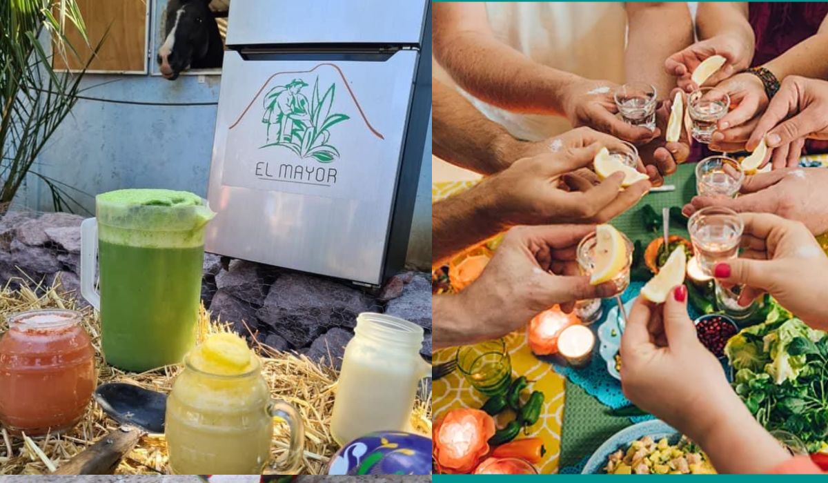 En el lugar se podra disfrutar de una variedad de estilos