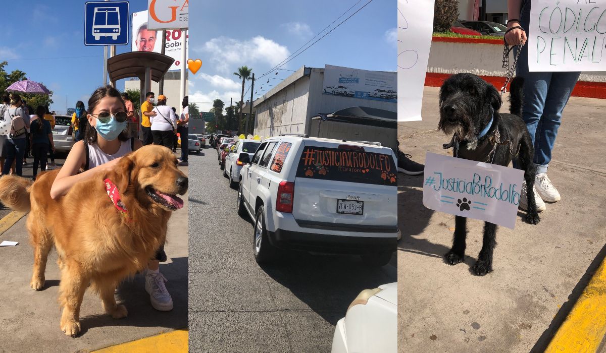 Población realizo una marcha para exigir justicia por la muerte del perro
