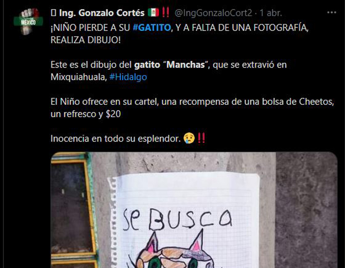 niño ofrece chetos en recompensa para encontrar a su gatito
