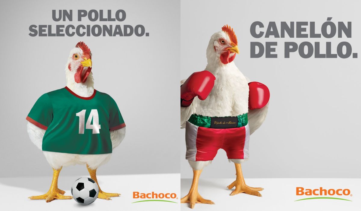 Sus campañas hacen referencia a las tendencias actuales