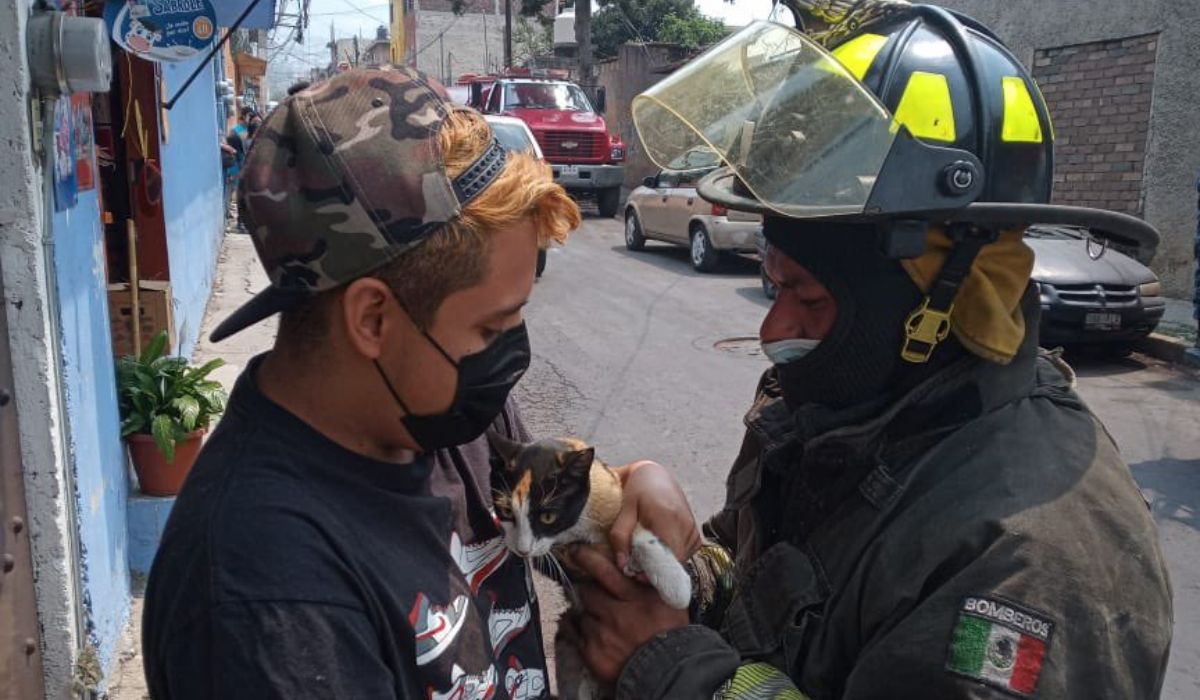 Los bomberos también se dedican al rescate de animales como gatos y perros