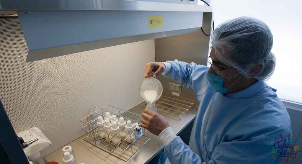 envasado de leche materna en banco mexiquense de leche materna