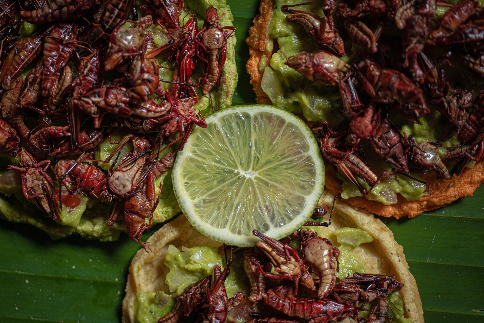 Vive, disfruta y prueba la gastronomía prehispánica de Teotihuacán Vive, disfruta y prueba la gastronomía prehispánica de Teotihuacán