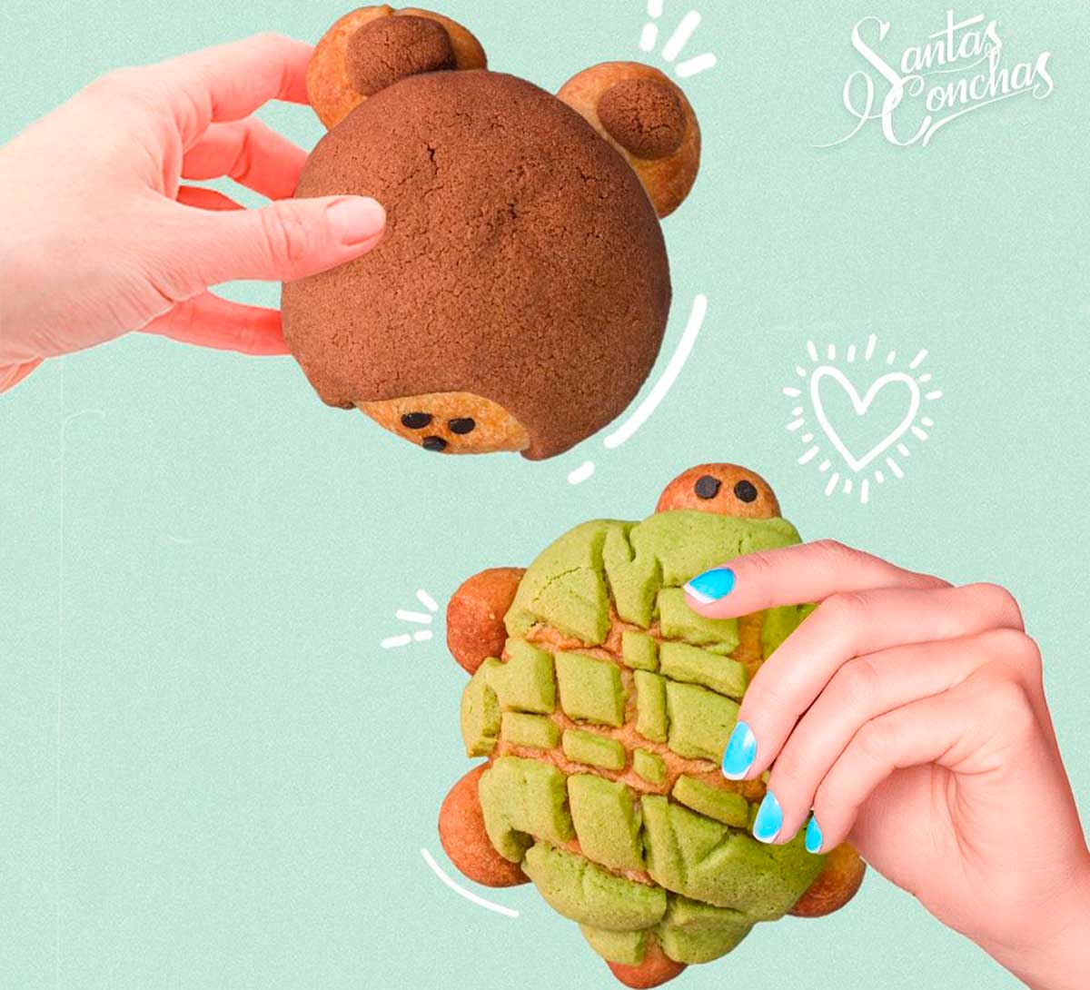 Las conchas en forma de animales han sido un éxito rotundo