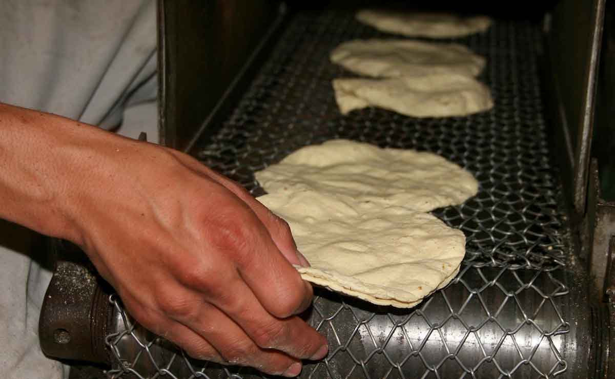 Precio de la tortilla en Toluca.
