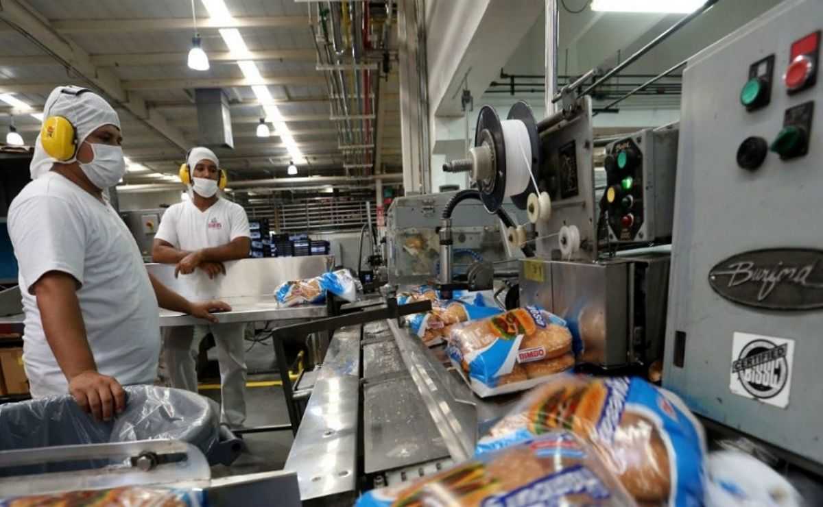 La nueva línea de producción en Toluca servirá para incrementar el abastecimiento y distribución de bollería