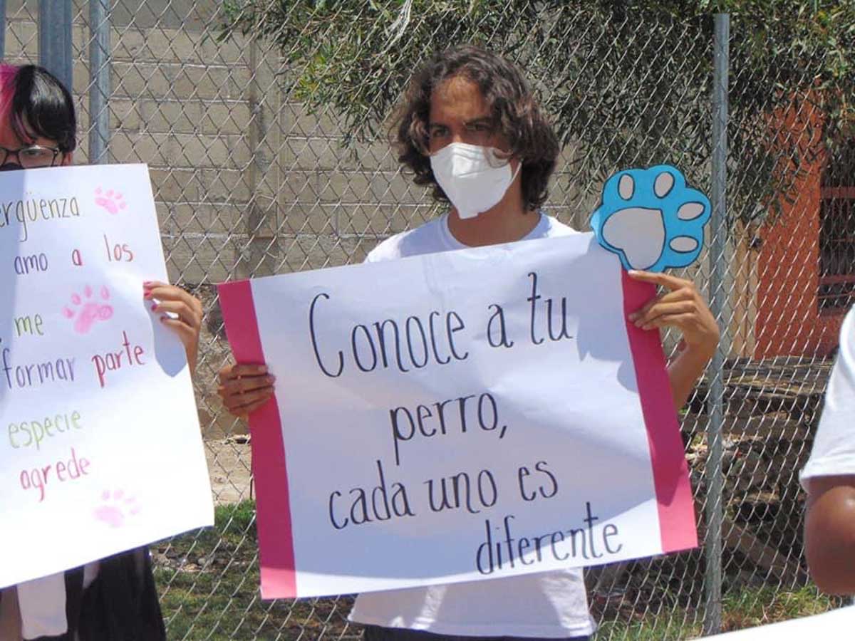 Los vecinos pidieron justicia por la perrita que fue encontrada