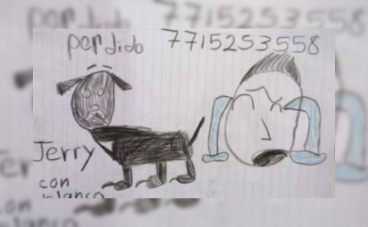 En el dibujo se observa a un perrito color negro que responde al nombre de "Jerry" y al propio Alejandro Elías llorando por su ausencia