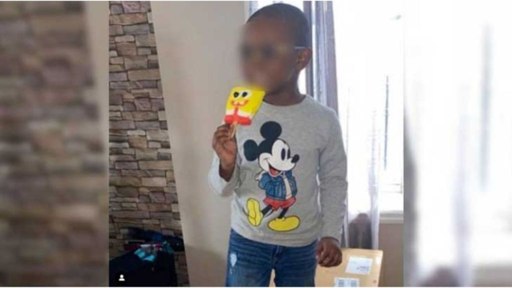 el pequeño Noah, tomó prestada la tarjeta de crédito de su madre y accedió a Amazon para comprar 51 cajas de paletas de hielo de Bob Esponja