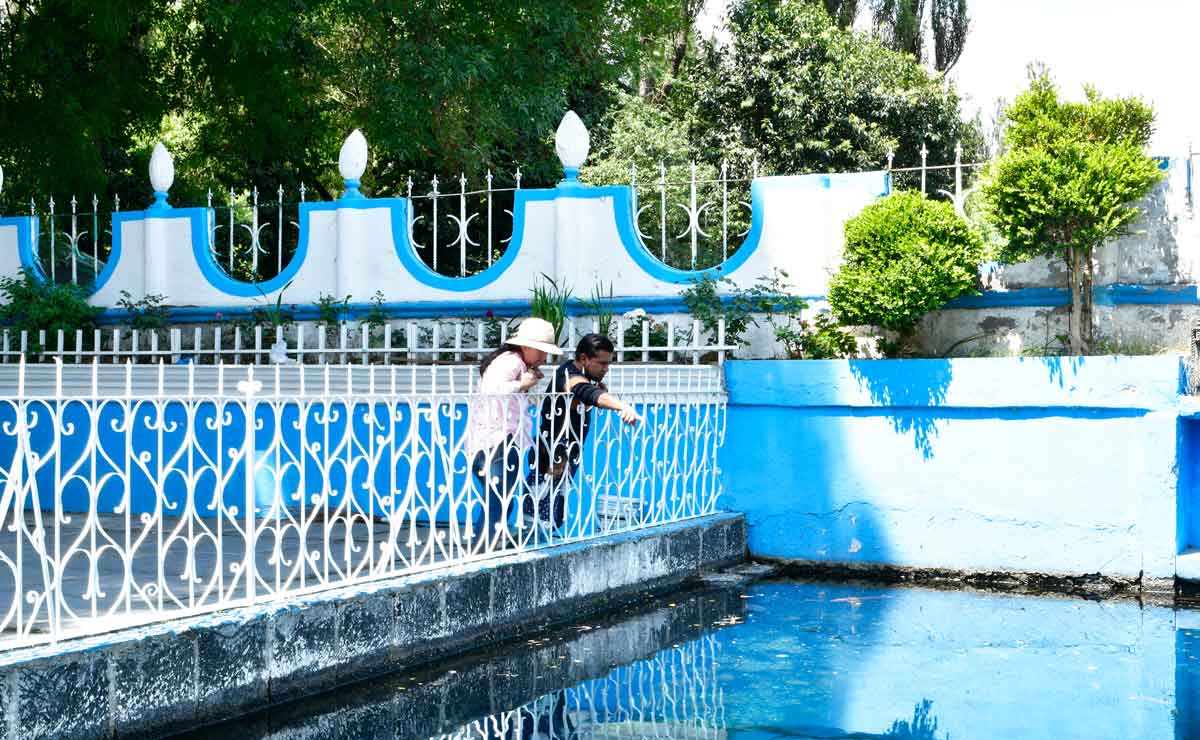 Ojo de agua, un lugar mágico en Almoloya de Juárez en Edomex.