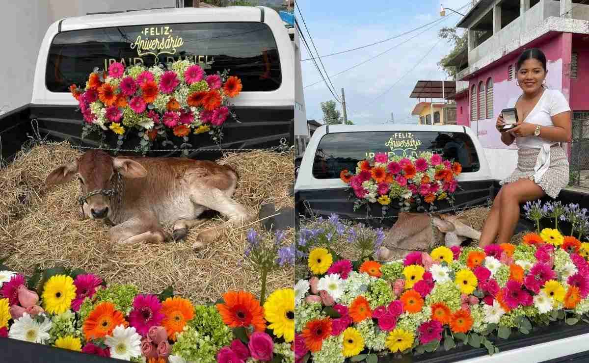 En las imágenes se observa la parte trasera de una camioneta adornada con flores y al becerro recostado en una pila de paja.