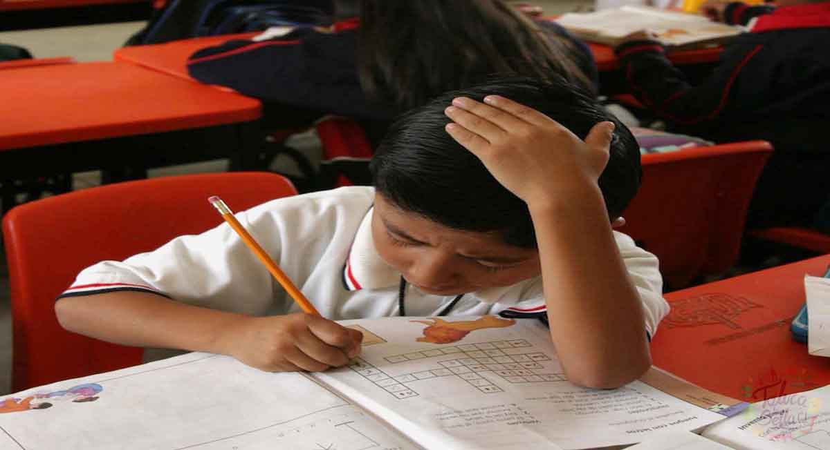 boletas calificaciones sep cómo y cuándo descargarlas