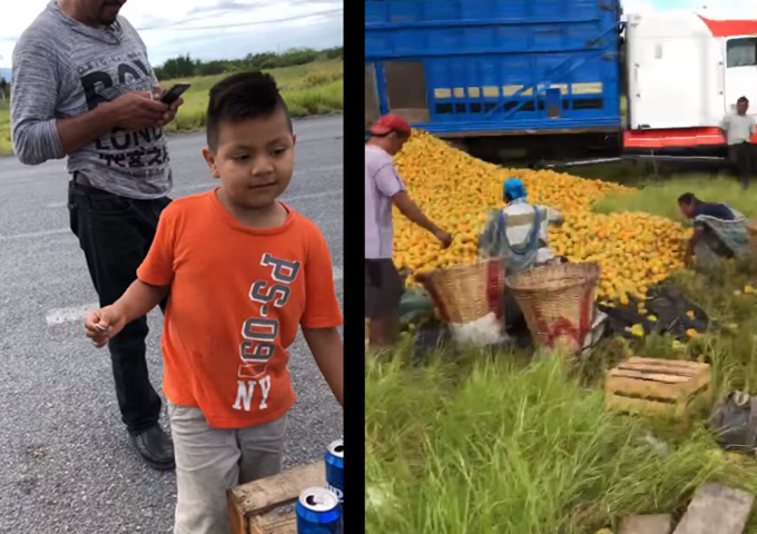 Niño en Tamaulipas compra naranjas, en ves de robarlas