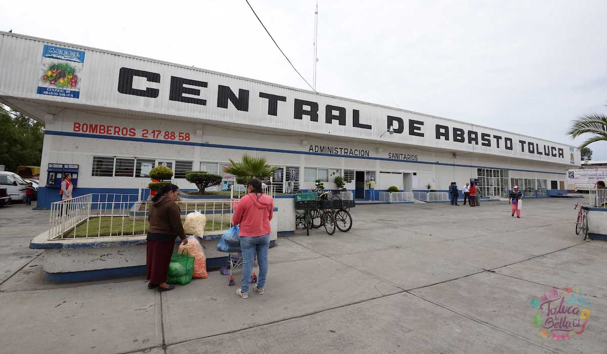 Asociación invita a adoptar perros en la central de abastos