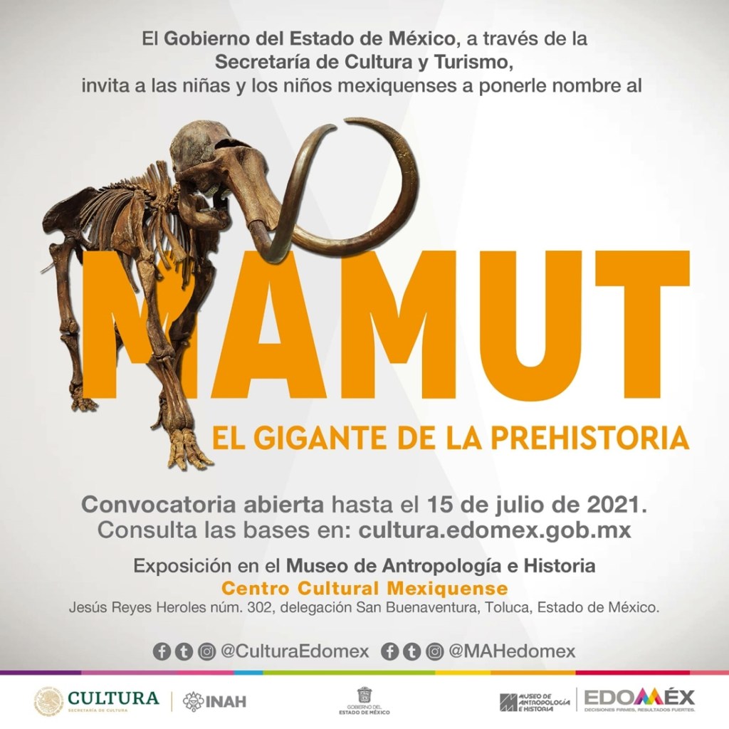 dvisrtete este verano y conoce la convocatoria y preios para nombrar al mamut encontrado en ecatepec
