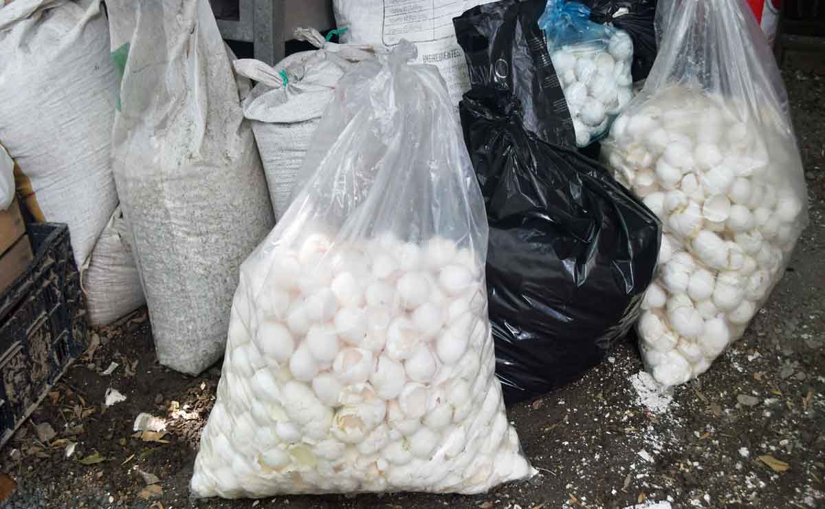 Dónde llevar los cascarones de huevo para limpiar el Río Lerma. Bolsas de yute con cascarones de huevo.