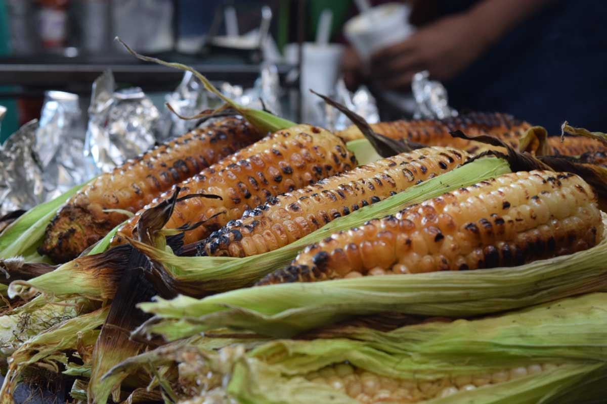 Elote cacahuazintle: ¿Qué es y por qué debes consumirlo?