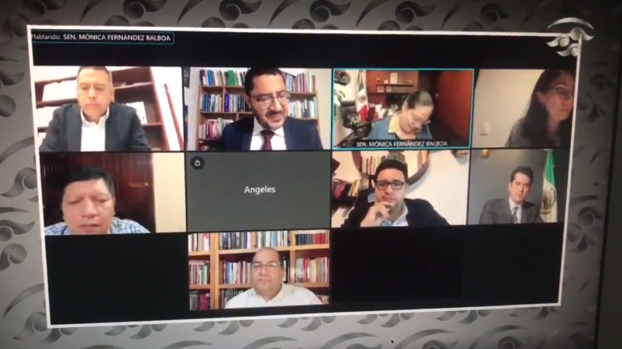 Diputada de morena olvida apagar su micrófono en plena sesión virtual y se escucha decir "ya se alargo"